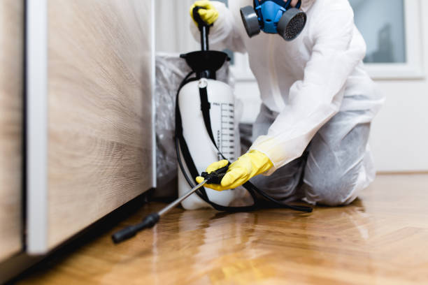 Best Pest Removal Services  in Gatlinburg, TN