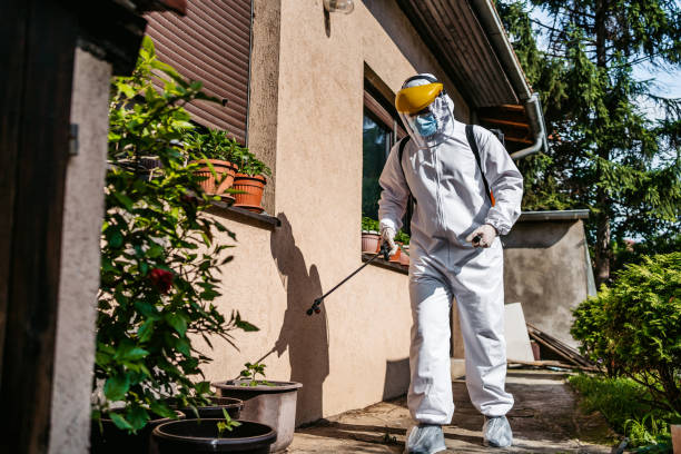 Best Bed Bug Extermination  in Gatlinburg, TN