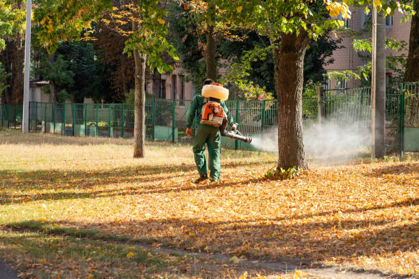  Gatlinburg, TN Pest Control Pros